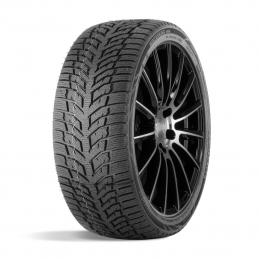 Doublestar Winterking DW08 205/55R16 91T